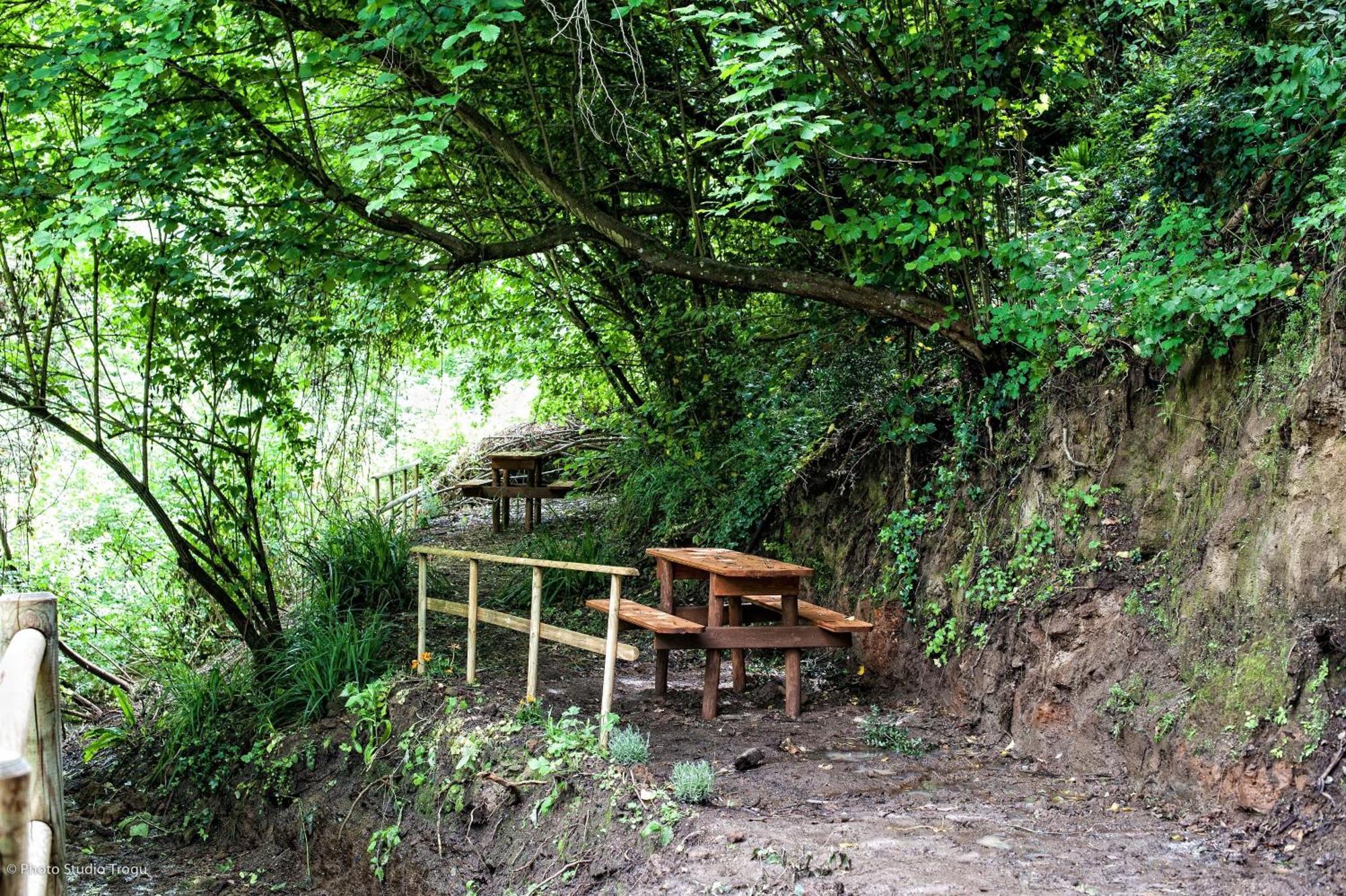 Il Giardino Dei Flintstones B&B Cerveteri Kültér fotó