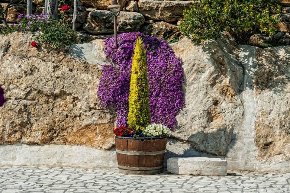 Il Giardino Dei Flintstones B&B Cerveteri Kültér fotó