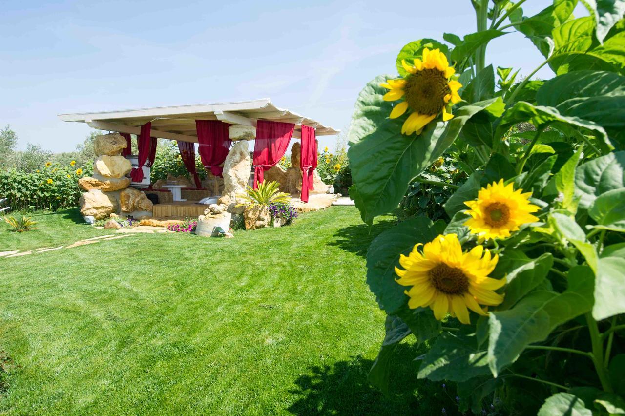Il Giardino Dei Flintstones B&B Cerveteri Kültér fotó